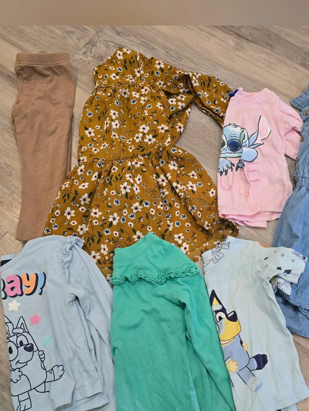 Girls Colorful Clothes Bundle 2-3T